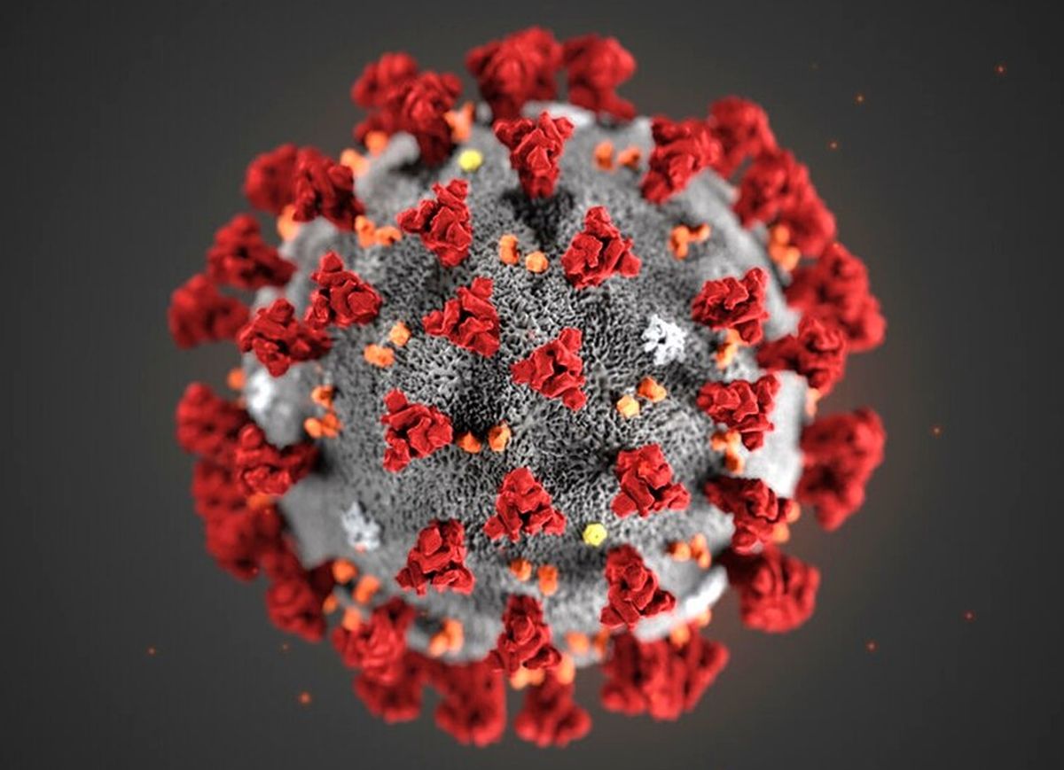 Coronavirus